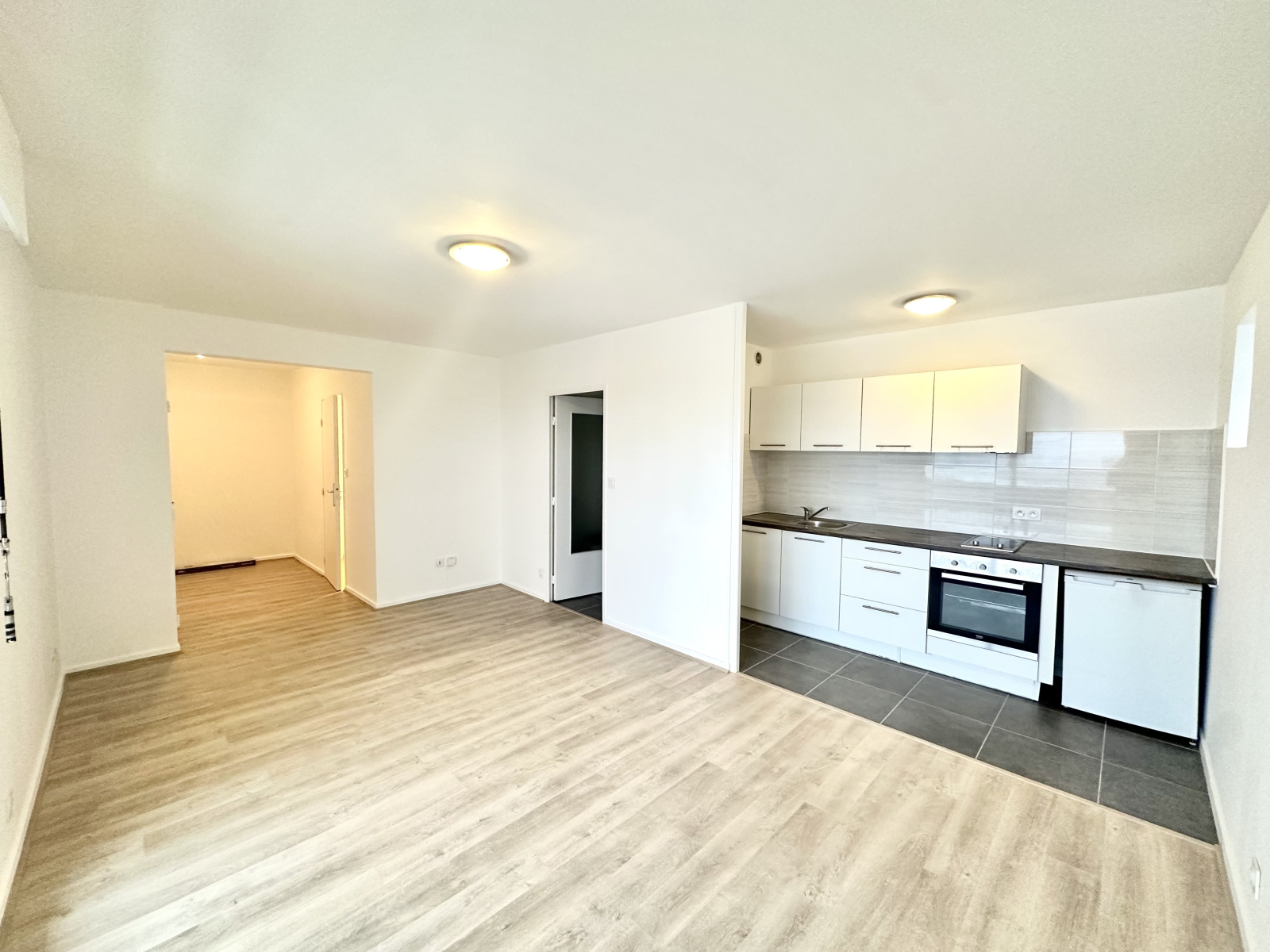 Image_1, Appartement, Grenoble, ref :1 10PO 02 392