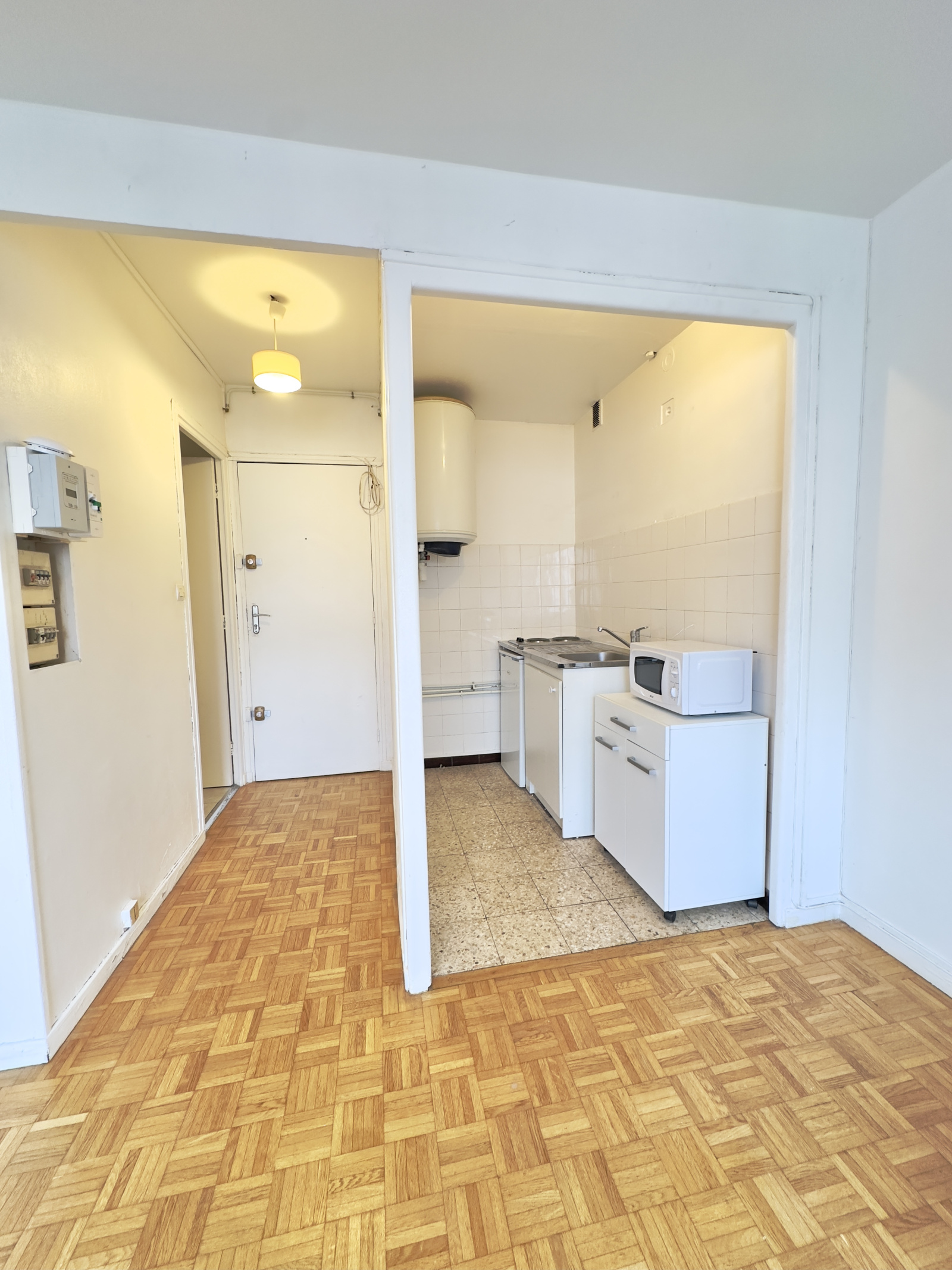 Image_1, Appartement, Grenoble, ref :1 03J 5