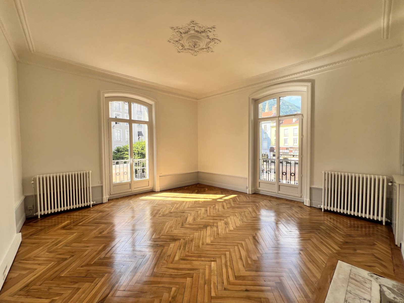 Image_5, Local professionnel, Grenoble, ref :LP 2RE 01